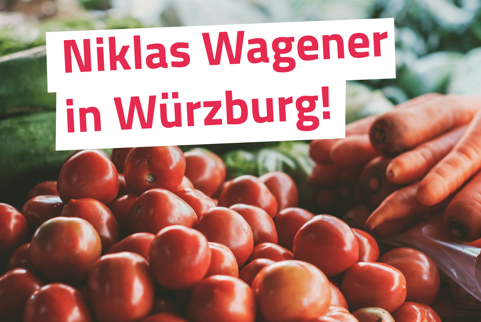 Essen ist kein Abfall – Vortrag in Würzburg!