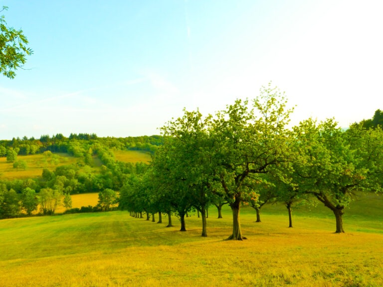 Unser 12-Punkte-Plan für eine klimaneutrale Landwirtschaft!