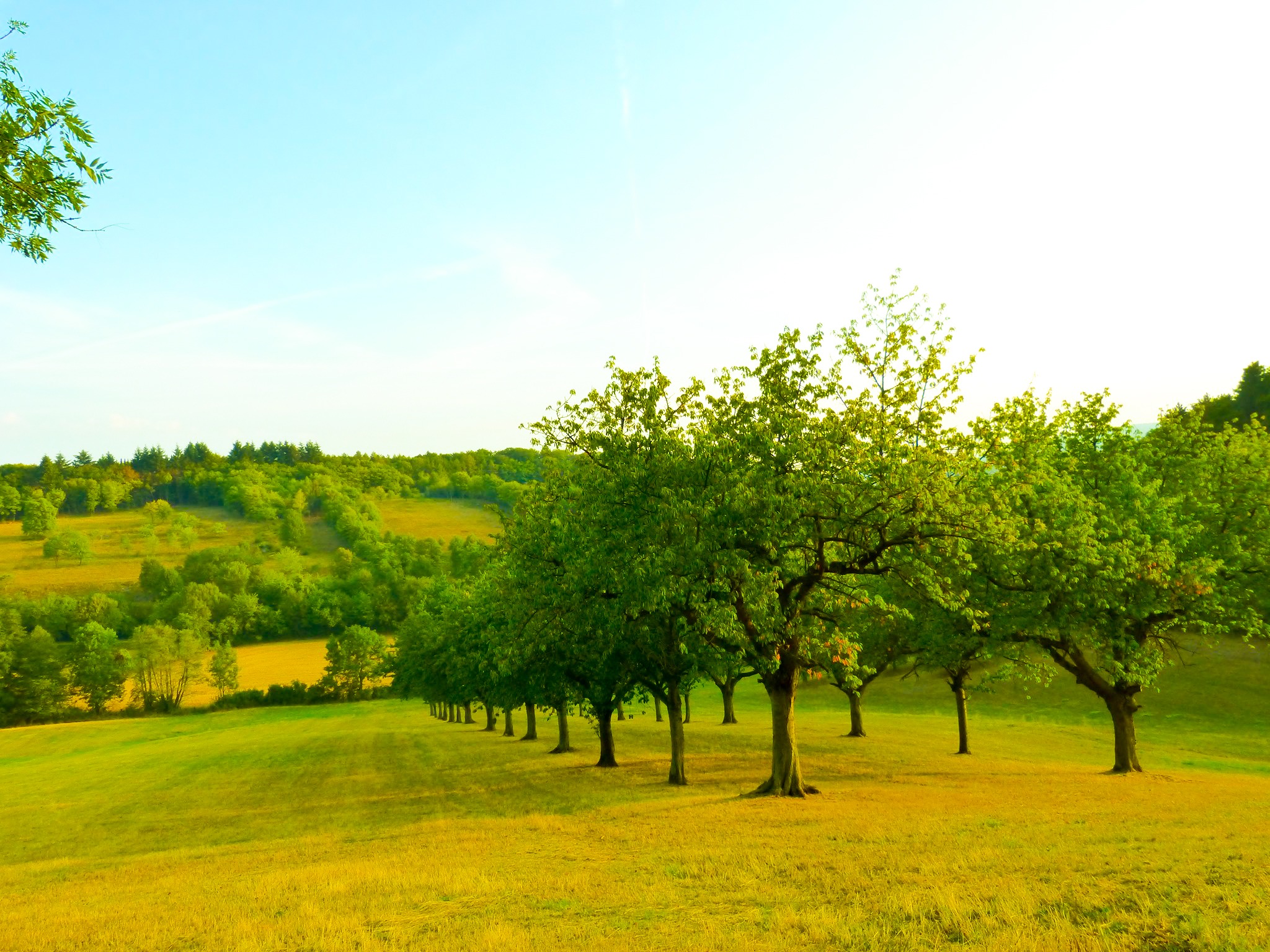 Unser 12-Punkte-Plan für eine klimaneutrale Landwirtschaft!