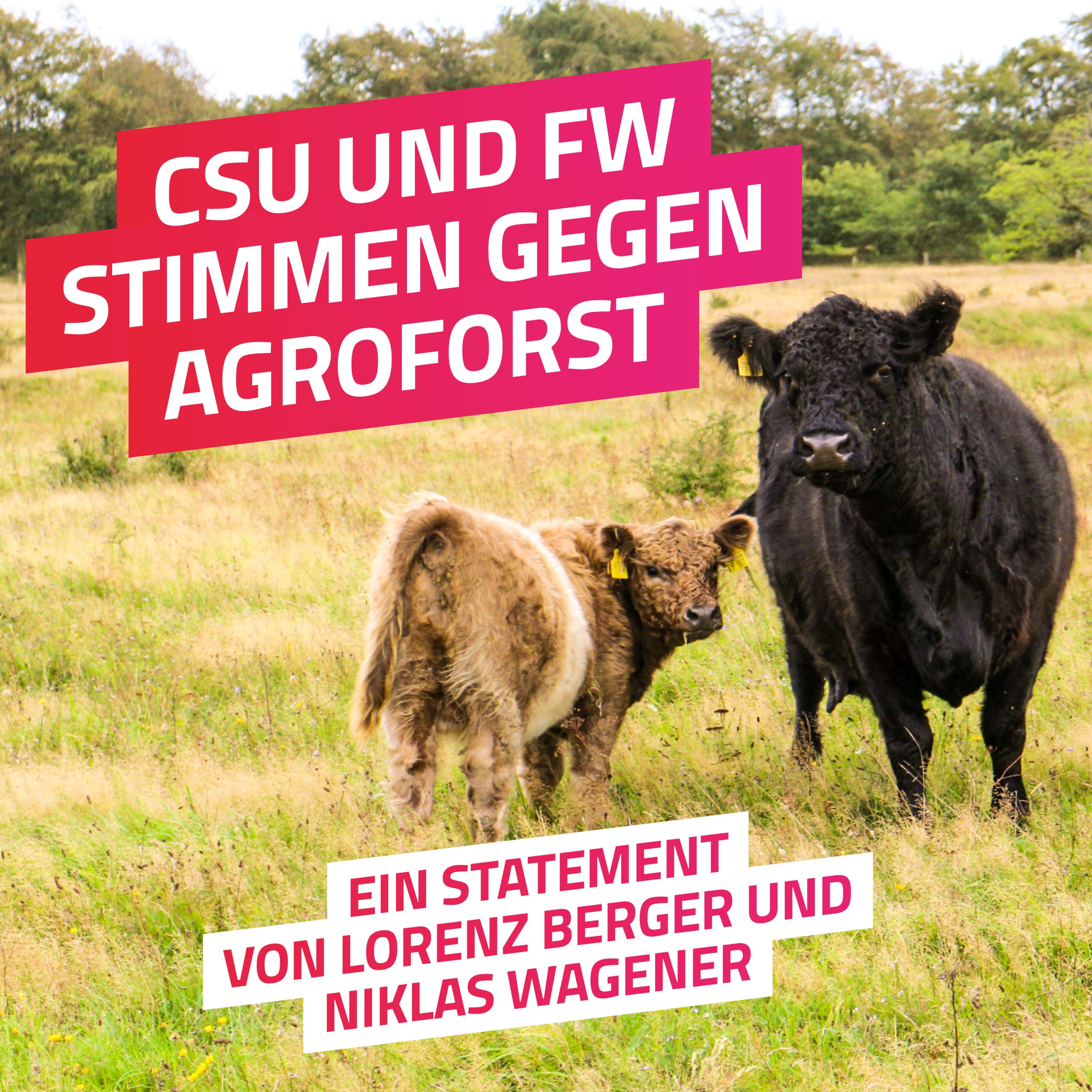 Agroforstforstwirtschaft im Bayerischen Landtag – Grüne Anträge werden abgelehnt.