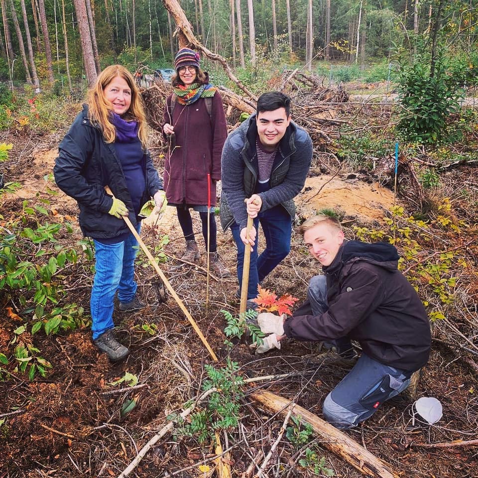 Unser Wald in Alzenau und Kahl