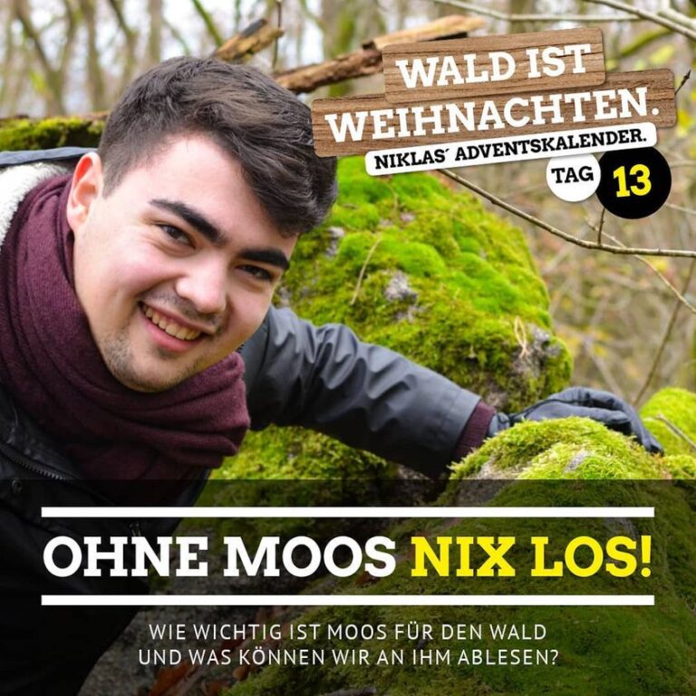 Nix los ohne Moos!
