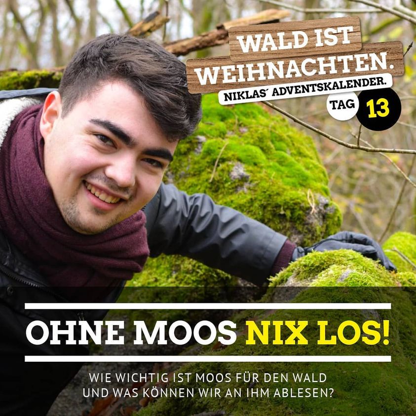Nix los ohne Moos!