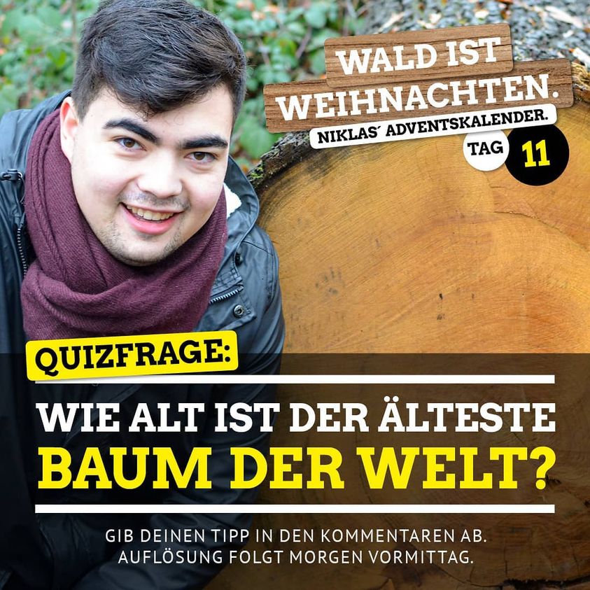 Adventsquiz: Das Alter