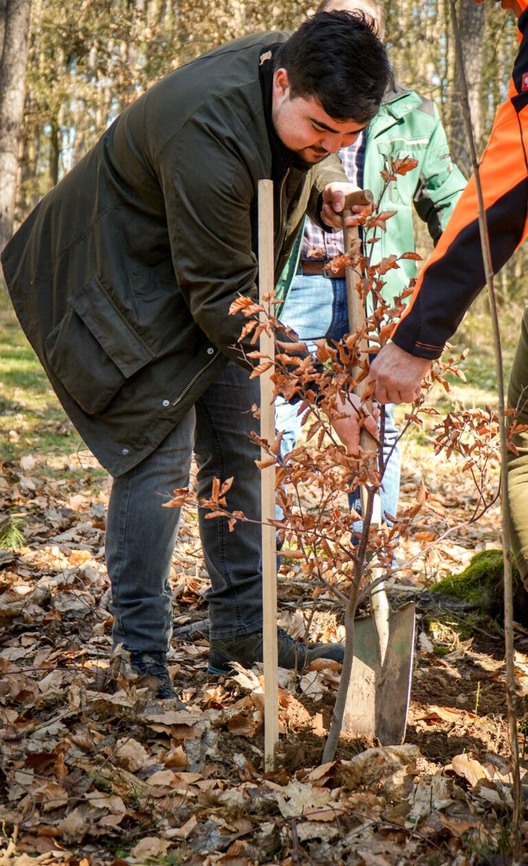 Wald der Zukunft – jetzt gestalten!