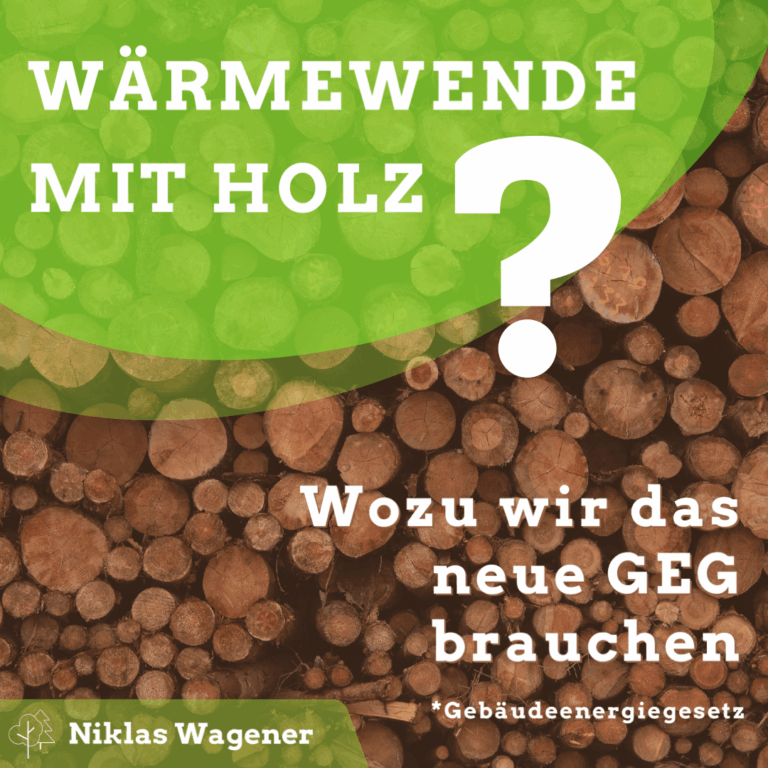 Wärmewende mit Holz? Wozu wir das neue Gebäudeenergiegesetz brauchen.