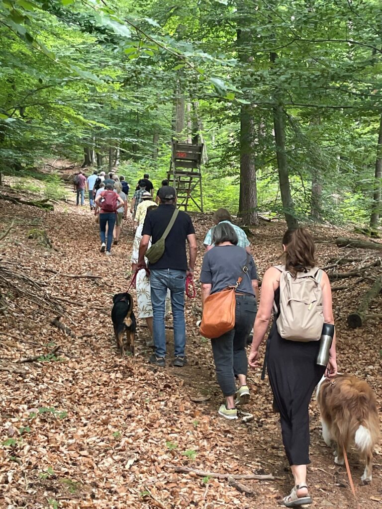Naturwaldführung mit Niklas und Bernd Kempf (Bund Naturschutz, Freunde des Spessart)