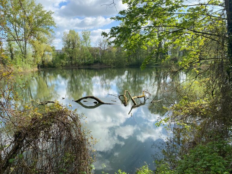 Natürlicher Klimaschutz: 552.000 Euro für Kahl am Main