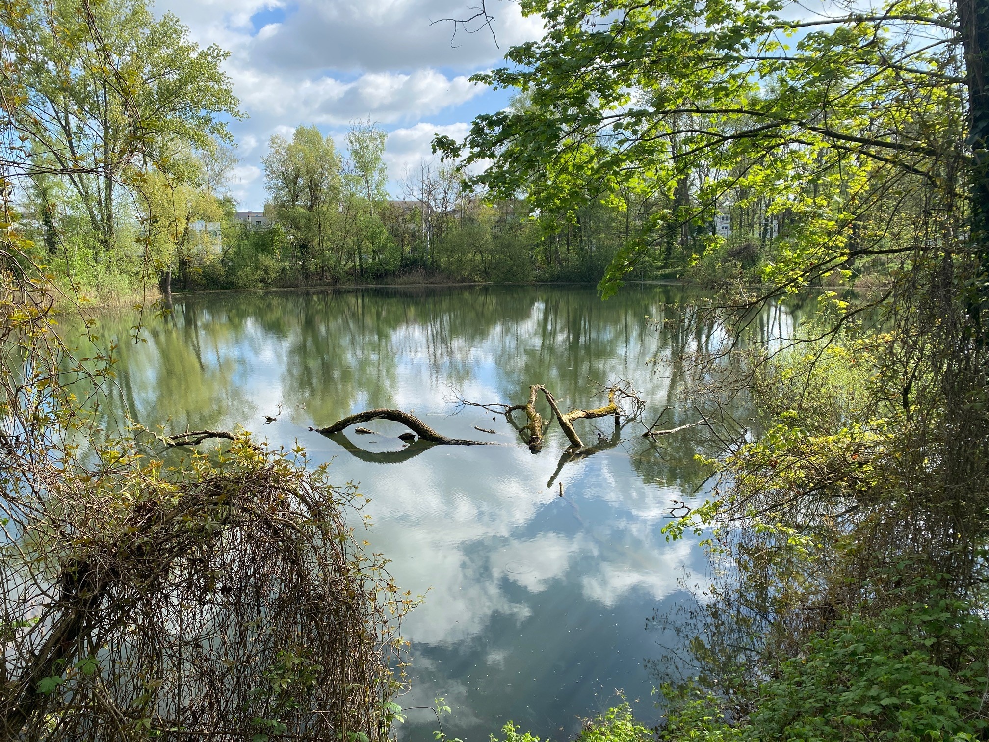 Natürlicher Klimaschutz: 552.000 Euro für Kahl am Main