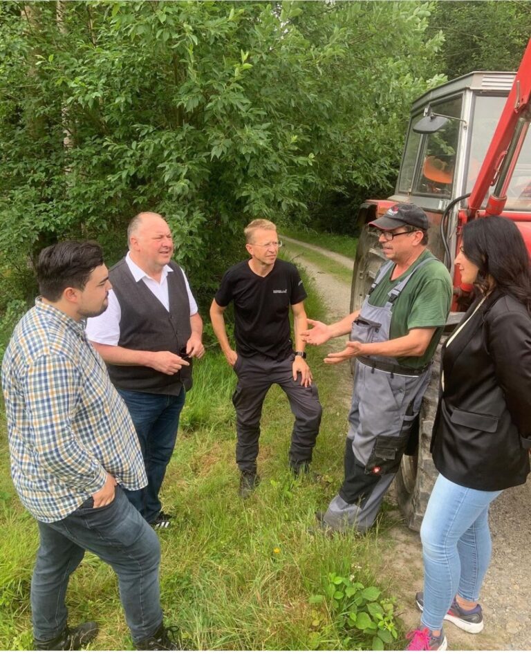 Wie kommt der Wald durch die Klimakrise