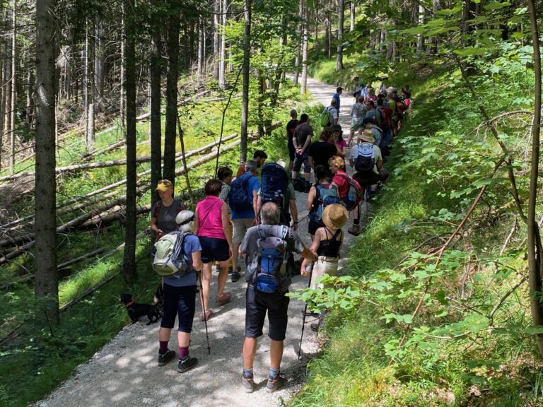 Besuch bei den Bartgeiern im Nationalpark Berchtesgaden