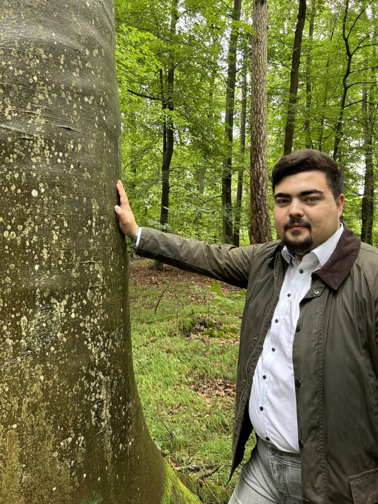 Deutscher Wald durch Klimakrise erheblich geschädigt