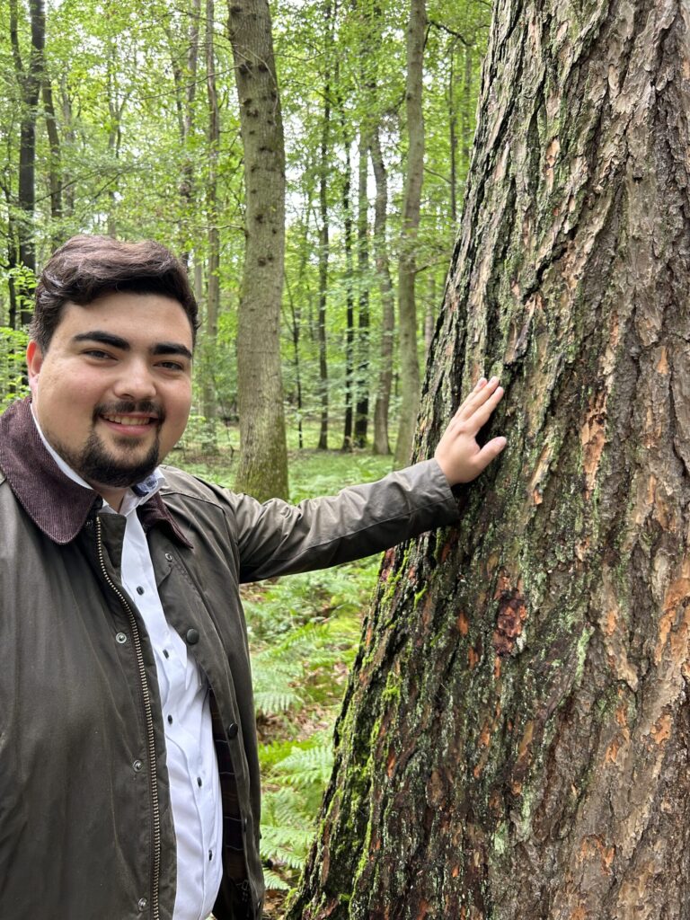 Wald- und Klimaschutz im Klima- und Transformationsfonds (KTF)