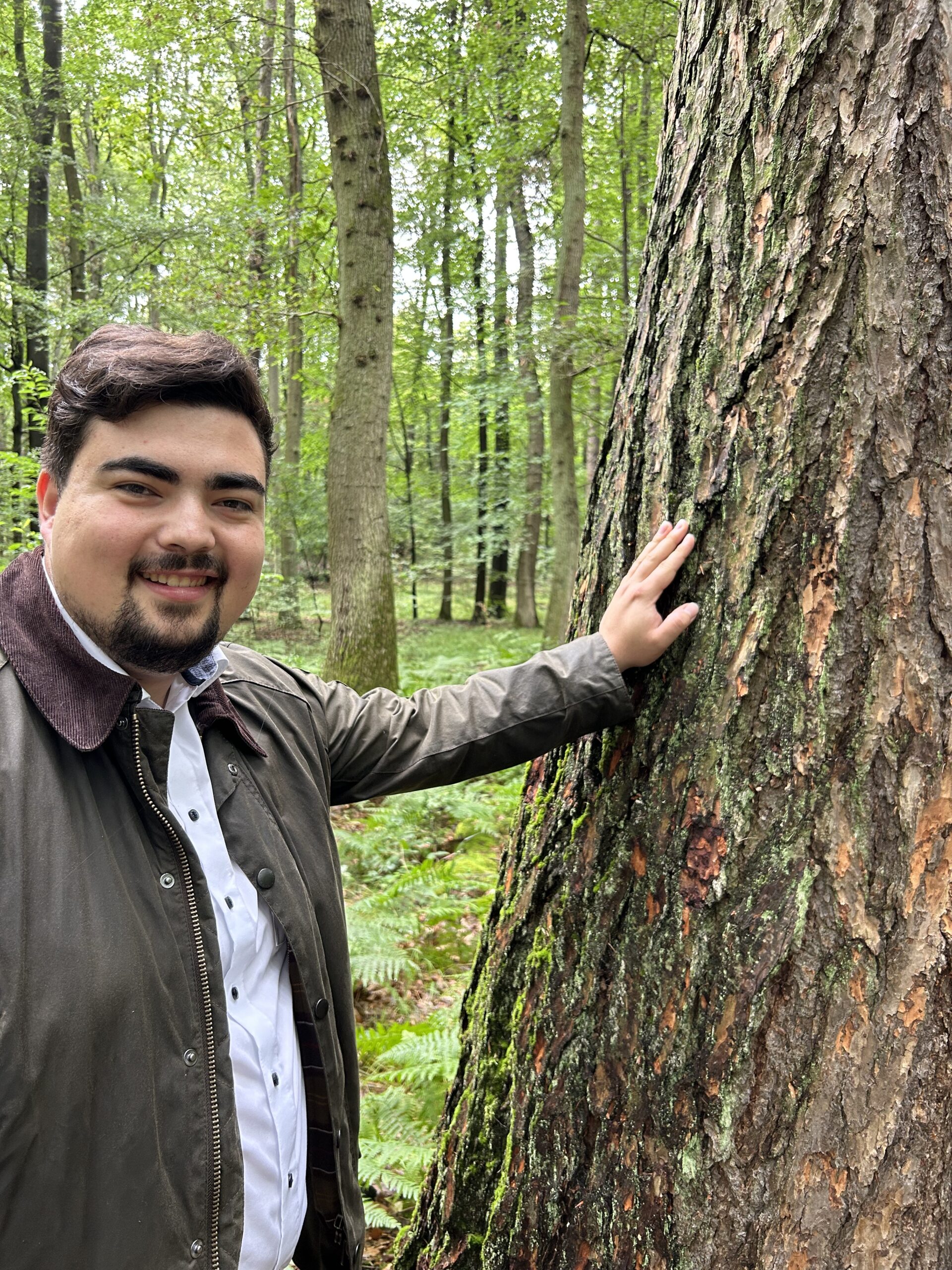 Wald- und Klimaschutz im Klima- und Transformationsfonds (KTF)