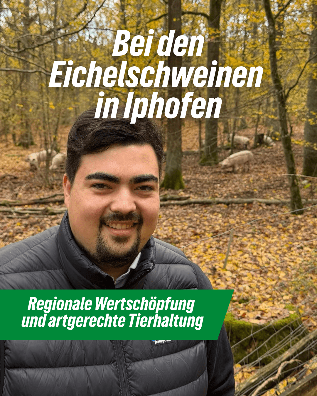 Regionale Wertschöpfung und artgerechte Tierhaltung: Niklas Wagener besucht Eichelschweine-Projekt in Iphofen