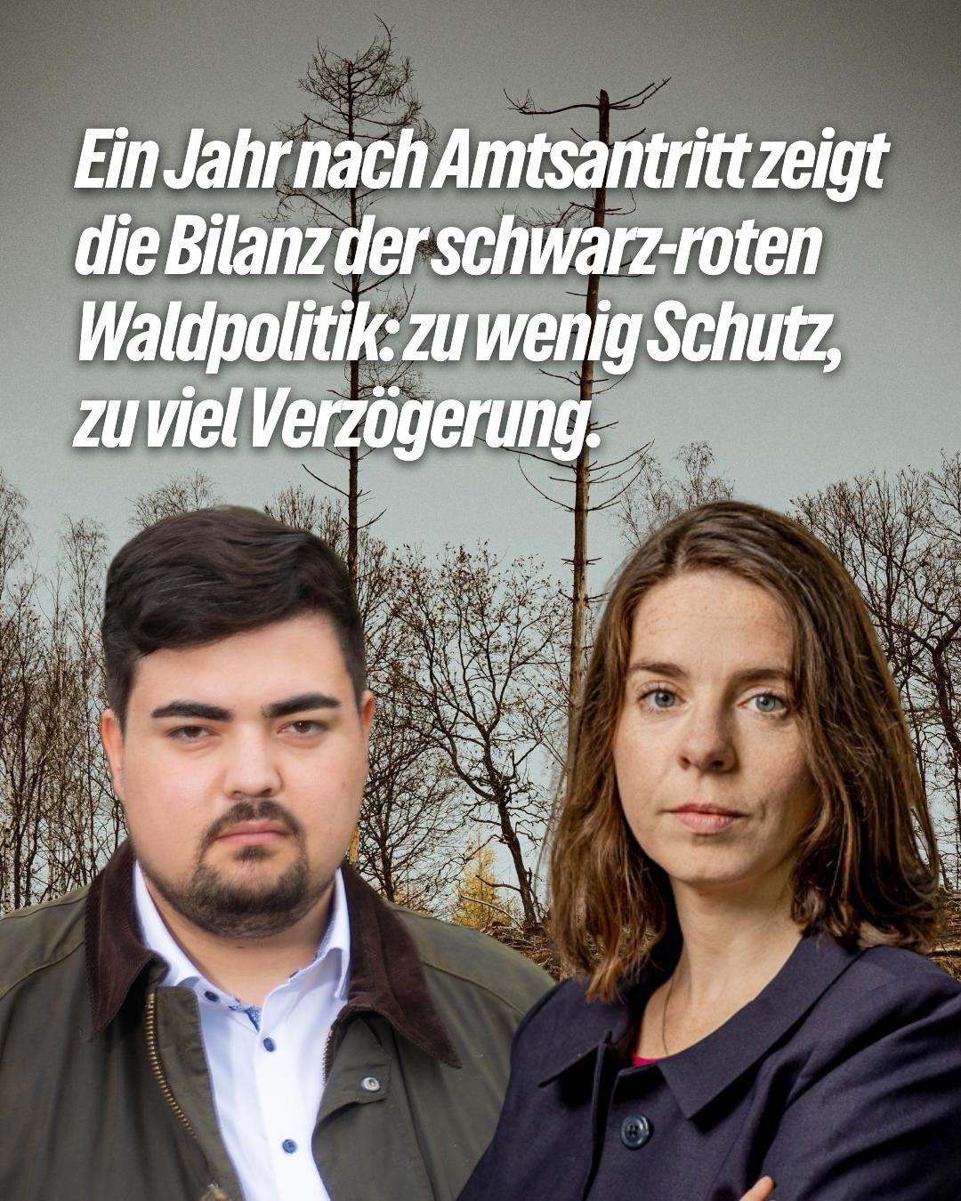 Waldpolitik