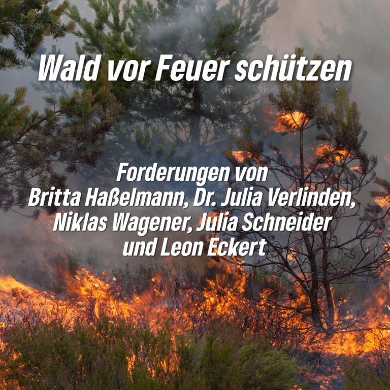 Vorbeugen statt nur löschen – und unsere Wälder fit für die Klimakrise machen.