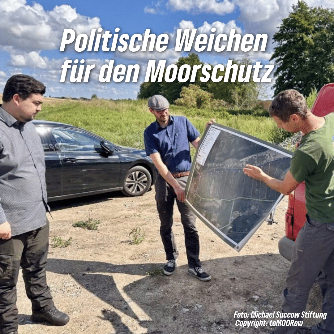 Politische Weichen für den Moorschutz